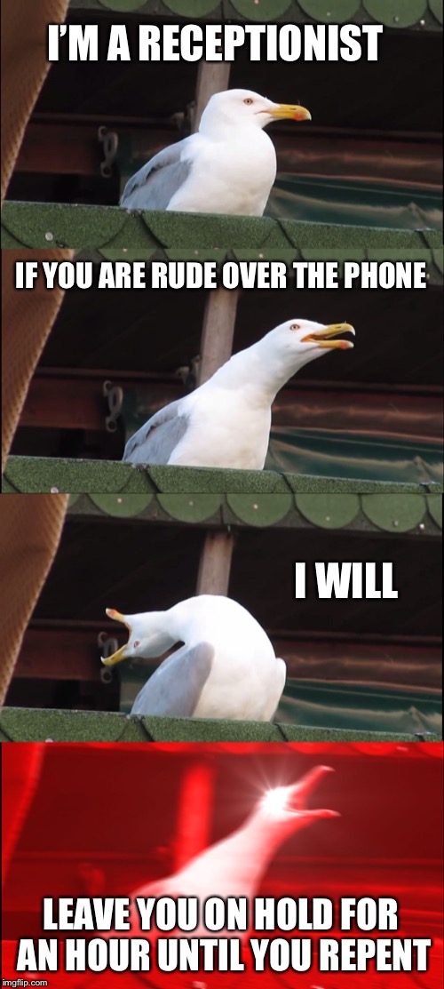 This is a true story. | I’M A RECEPTIONIST; IF YOU ARE RUDE OVER THE PHONE; I WILL; LEAVE YOU ON HOLD FOR AN HOUR UNTIL YOU REPENT | image tagged in memes,inhaling seagull | made w/ Imgflip meme maker