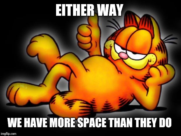 garfield thumbs up | EITHER WAY WE HAVE MORE SPACE THAN THEY DO | image tagged in garfield thumbs up | made w/ Imgflip meme maker