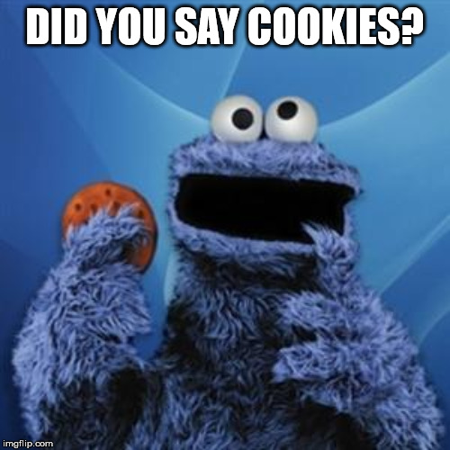 cookie monster | DID YOU SAY COOKIES? | image tagged in cookie monster | made w/ Imgflip meme maker