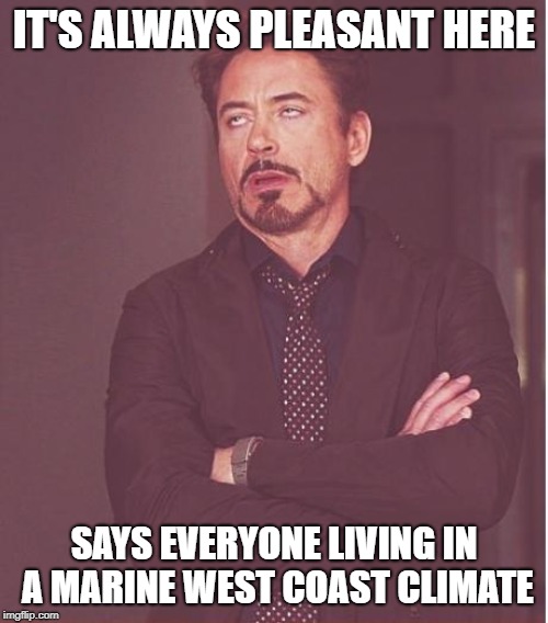 Face You Make Robert Downey Jr | IT'S ALWAYS PLEASANT HERE; SAYS EVERYONE LIVING IN A MARINE WEST COAST CLIMATE | image tagged in memes,face you make robert downey jr | made w/ Imgflip meme maker
