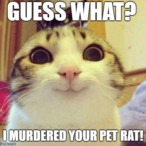 Smiling Cat Meme | GUESS WHAT? I MURDERED YOUR PET RAT! | image tagged in memes,smiling cat | made w/ Imgflip meme maker
