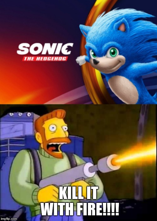 aw hell no | KILL IT WITH FIRE!!!! | image tagged in sonic the hedgehog,kill it with fire,oh hell no | made w/ Imgflip meme maker