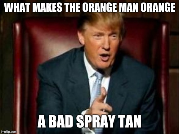 Orange | WHAT MAKES THE ORANGE MAN ORANGE; A BAD SPRAY TAN | image tagged in donald trump | made w/ Imgflip meme maker