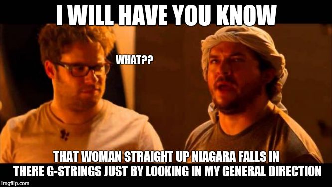 This is the end danny mcbride | I WILL HAVE YOU KNOW; WHAT?? THAT WOMAN STRAIGHT UP NIAGARA FALLS IN THERE G-STRINGS JUST BY LOOKING IN MY GENERAL DIRECTION | image tagged in this is the end danny mcbride | made w/ Imgflip meme maker