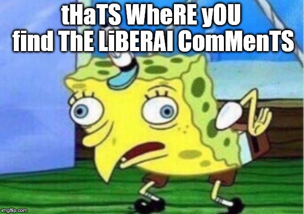 Mocking Spongebob Meme | tHaTS WheRE yOU find ThE LiBERAl ComMenTS | image tagged in memes,mocking spongebob | made w/ Imgflip meme maker