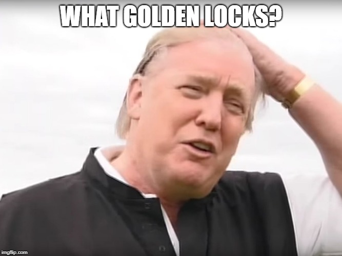 Bald Trump | WHAT GOLDEN LOCKS? | image tagged in bald trump | made w/ Imgflip meme maker