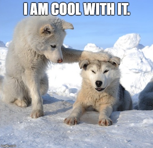 It's OK | I AM COOL WITH IT. | image tagged in it's ok | made w/ Imgflip meme maker