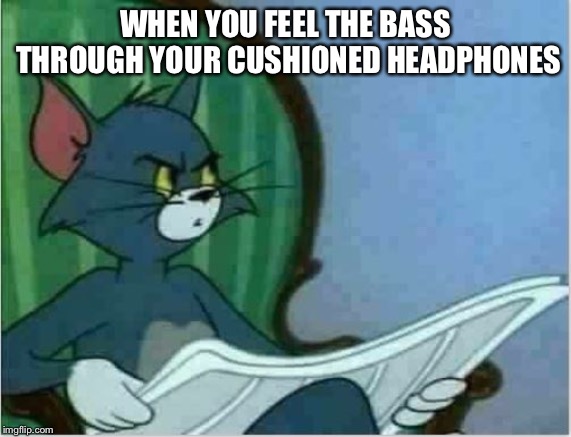 Interrupting Tom's Read | WHEN YOU FEEL THE BASS THROUGH YOUR CUSHIONED HEADPHONES | image tagged in interrupting tom's read | made w/ Imgflip meme maker
