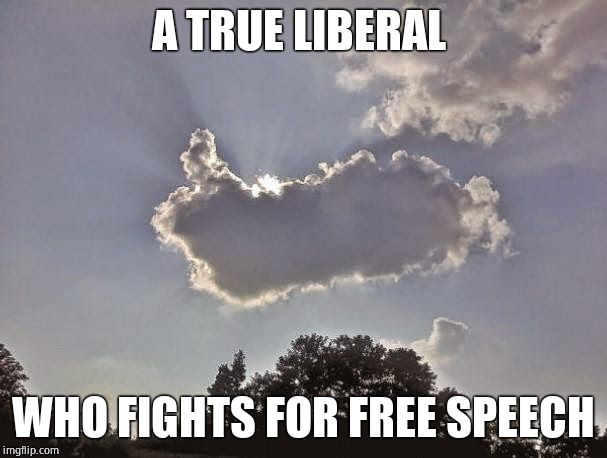Cloud Thumbs Up | A TRUE LIBERAL WHO FIGHTS FOR FREE SPEECH | image tagged in cloud thumbs up | made w/ Imgflip meme maker