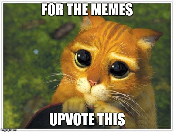 For the memes... | FOR THE MEMES; UPVOTE THIS | image tagged in memes,shrek cat | made w/ Imgflip meme maker