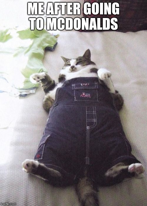 Fat Cat | ME AFTER GOING TO MCDONALDS | image tagged in memes,fat cat | made w/ Imgflip meme maker