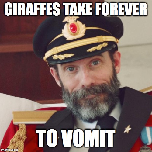 *Vomiting sounds* | GIRAFFES TAKE FOREVER; TO VOMIT | image tagged in captain obvious,funny,vomit,giraffes,memelord344,memes | made w/ Imgflip meme maker