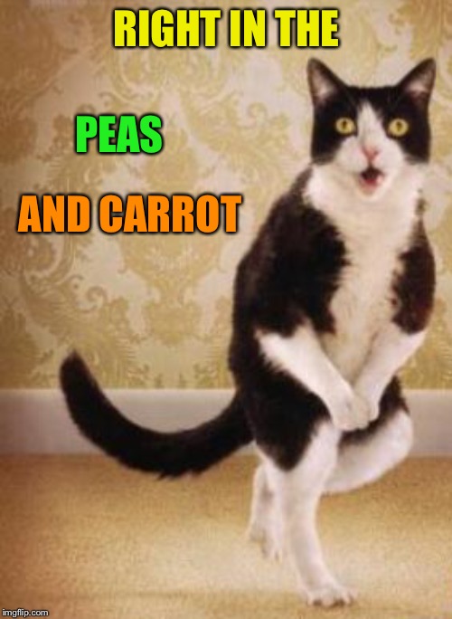 RIGHT IN THE PEAS AND CARROT | made w/ Imgflip meme maker