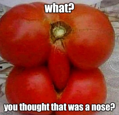 what? you thought that was a nose? | made w/ Imgflip meme maker