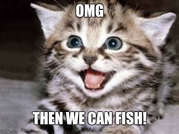 happy cat | OMG THEN WE CAN FISH! | image tagged in happy cat | made w/ Imgflip meme maker