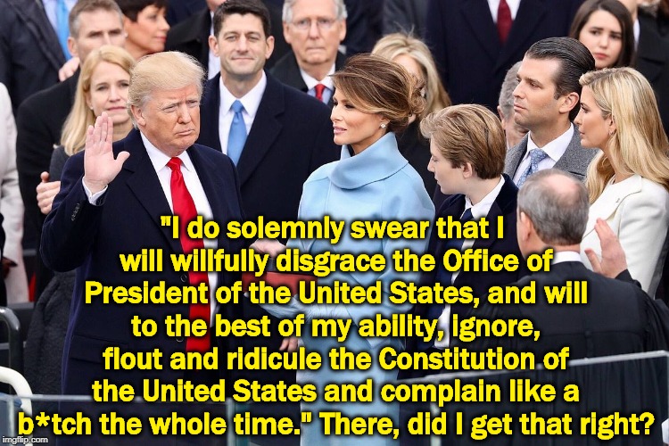 "I do solemnly swear that I will willfully disgrace the Office of President of the United States, and will to the best of my ability, ignore, flout and ridicule the Constitution of the United States and complain like a b*tch the whole time." There, did I get that right? | image tagged in trump,constitution,complain,oath of office | made w/ Imgflip meme maker