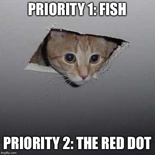 Got your priorities straight | PRIORITY 1: FISH; PRIORITY 2: THE RED DOT | image tagged in memes,ceiling cat,cats,funny | made w/ Imgflip meme maker