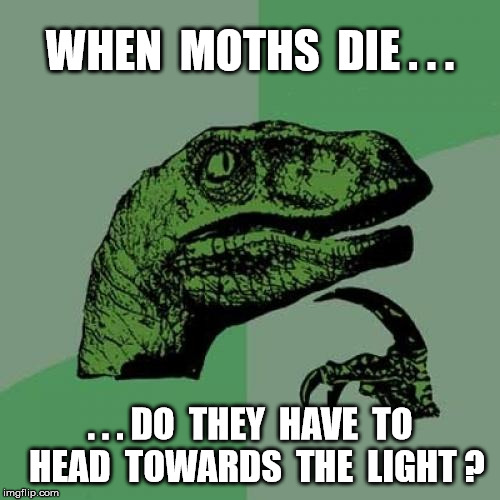 DeadMoths | WHEN  MOTHS  DIE . . . . . . DO  THEY  HAVE  TO  HEAD  TOWARDS  THE  LIGHT ? | image tagged in memes,philosoraptor | made w/ Imgflip meme maker