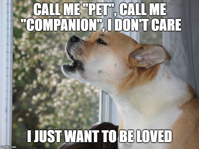 Dog barking | CALL ME "PET", CALL ME "COMPANION", I DON'T CARE; I JUST WANT TO BE LOVED | image tagged in dog barking | made w/ Imgflip meme maker