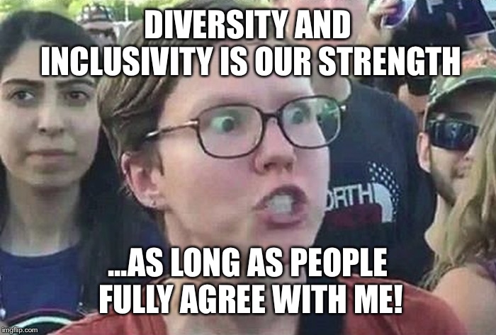 Triggered Liberal | DIVERSITY AND INCLUSIVITY IS OUR STRENGTH; ...AS LONG AS PEOPLE FULLY AGREE WITH ME! | image tagged in triggered liberal,libtard,diversity,democratic party | made w/ Imgflip meme maker