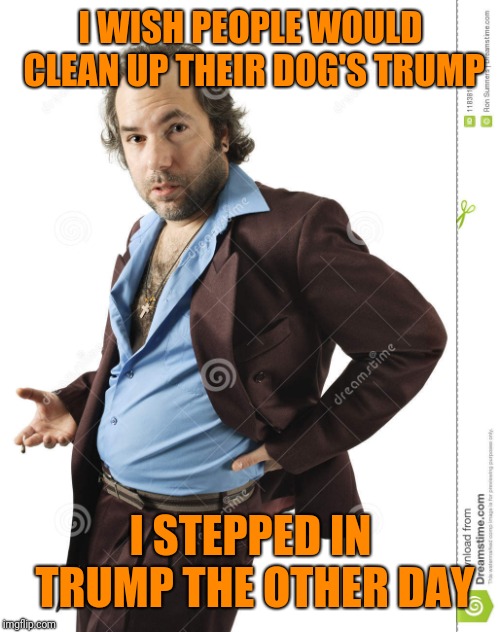 I WISH PEOPLE WOULD CLEAN UP THEIR DOG'S TRUMP I STEPPED IN TRUMP THE OTHER DAY | made w/ Imgflip meme maker