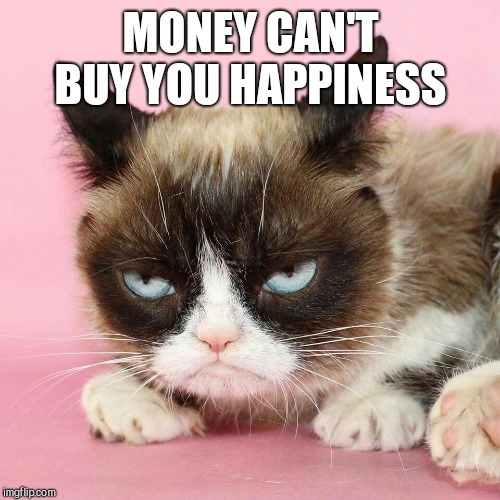 MONEY CAN'T BUY YOU HAPPINESS | made w/ Imgflip meme maker