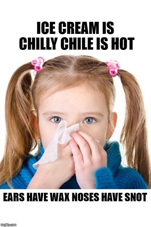 ICE CREAM IS CHILLY CHILE IS HOT EARS HAVE WAX NOSES HAVE SNOT | made w/ Imgflip meme maker