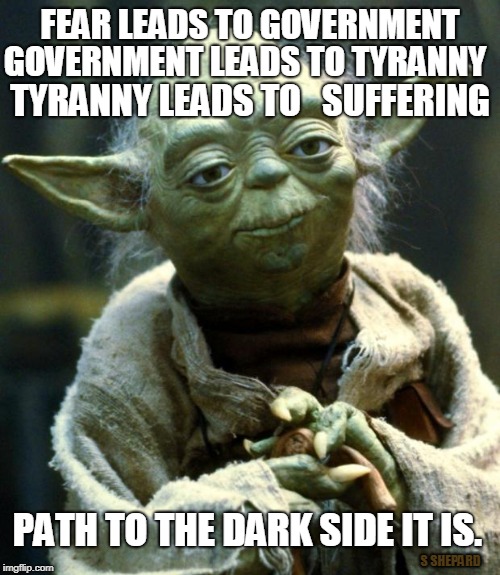 FEAR LEADS TO GOVERNMENT | FEAR LEADS TO GOVERNMENT; GOVERNMENT LEADS TO TYRANNY; TYRANNY LEADS TO   SUFFERING; PATH TO THE DARK SIDE IT IS. S SHEPARD | image tagged in memes,star wars yoda,tyranny,government | made w/ Imgflip meme maker