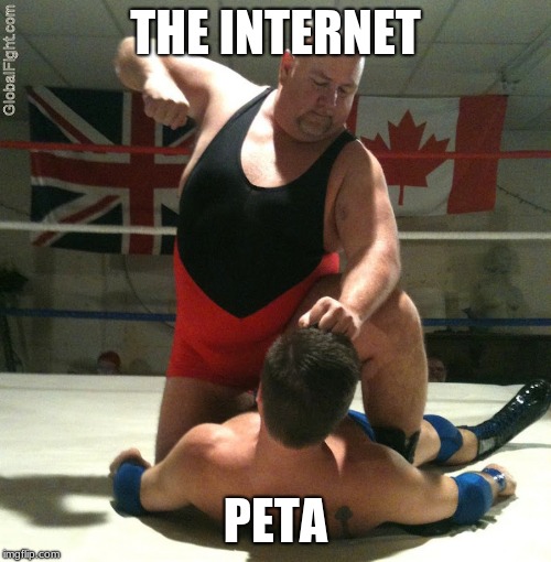 Beating Up | THE INTERNET; PETA | image tagged in beating up | made w/ Imgflip meme maker