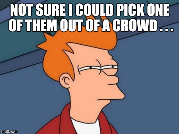Futurama Fry Meme | NOT SURE I COULD PICK ONE OF THEM OUT OF A CROWD . . . | image tagged in memes,futurama fry | made w/ Imgflip meme maker