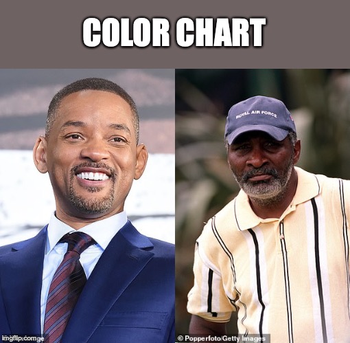 COLOR CHART | made w/ Imgflip meme maker