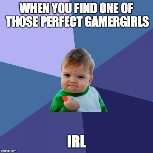 Success Kid | WHEN YOU FIND ONE OF THOSE PERFECT GAMERGIRLS; IRL | image tagged in memes,success kid | made w/ Imgflip meme maker