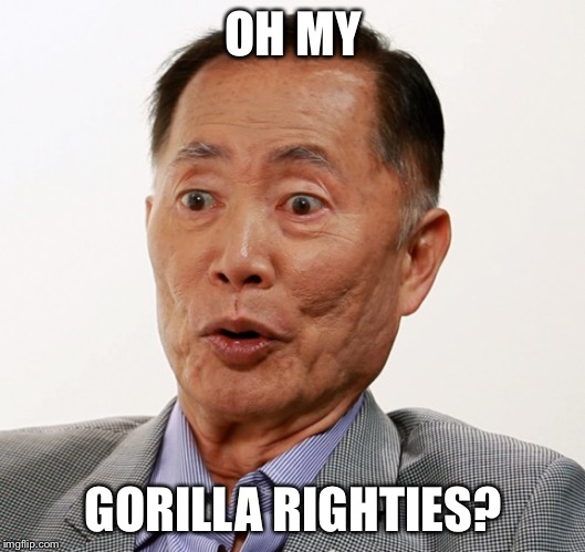 george takei oh my | OH MY GORILLA RIGHTIES? | image tagged in george takei oh my | made w/ Imgflip meme maker