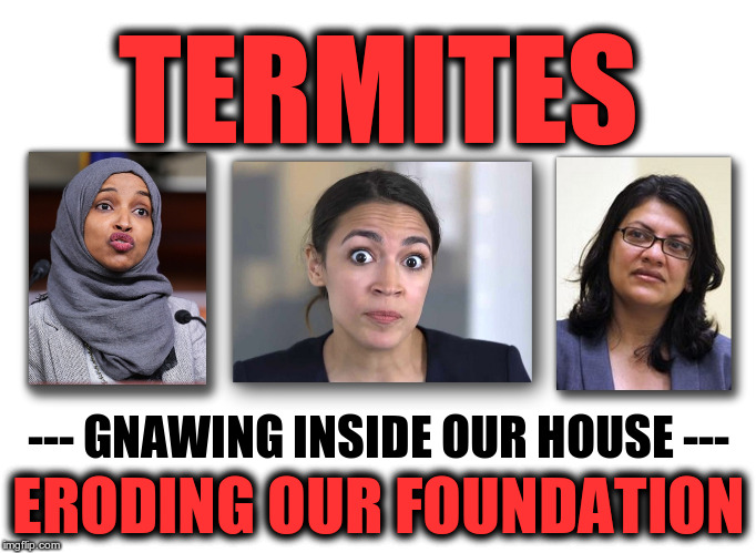 TERMITES; --- GNAWING INSIDE OUR HOUSE ---; ERODING OUR FOUNDATION | image tagged in termites in congress | made w/ Imgflip meme maker