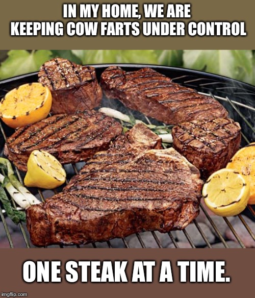 steak | IN MY HOME, WE ARE KEEPING COW FARTS UNDER CONTROL; ONE STEAK AT A TIME. | image tagged in steak | made w/ Imgflip meme maker