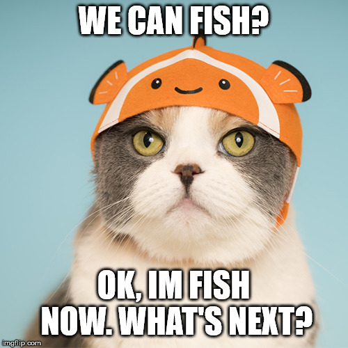 WE CAN FISH? OK, IM FISH NOW. WHAT'S NEXT? | made w/ Imgflip meme maker