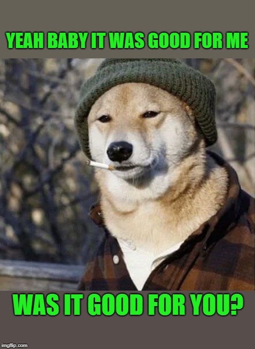 afterglow | YEAH BABY IT WAS GOOD FOR ME; WAS IT GOOD FOR YOU? | image tagged in dog,cigarette | made w/ Imgflip meme maker