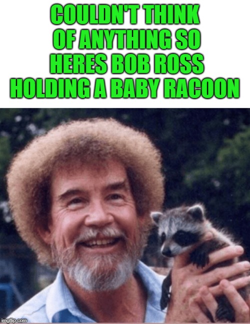 bob ross | COULDN'T THINK OF ANYTHING SO HERES BOB ROSS HOLDING A BABY RACOON | image tagged in bob ross,racoon | made w/ Imgflip meme maker