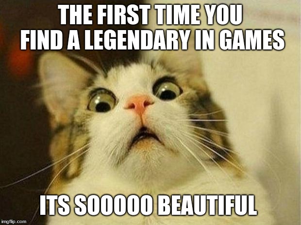 Scared Cat Meme | THE FIRST TIME YOU FIND A LEGENDARY IN GAMES; ITS SOOOOO BEAUTIFUL | image tagged in memes,scared cat | made w/ Imgflip meme maker