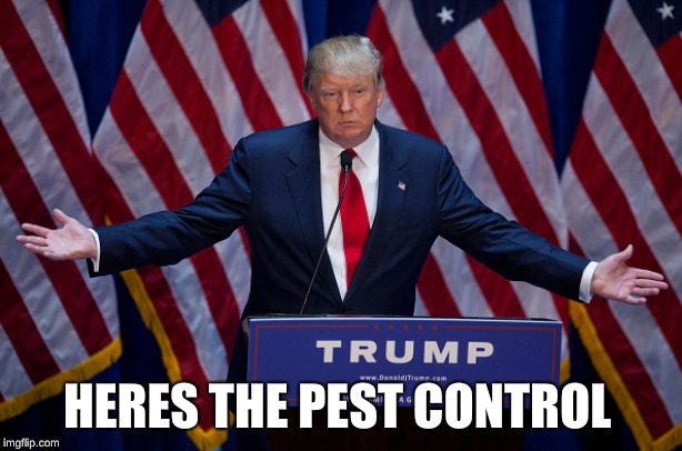 Donald Trump | HERES THE PEST CONTROL | image tagged in donald trump | made w/ Imgflip meme maker