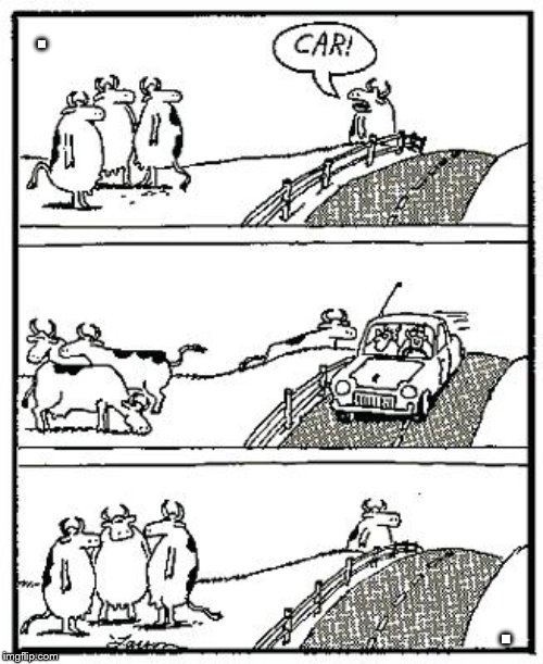 Far Side Cows Car | . . | image tagged in far side cows car | made w/ Imgflip meme maker
