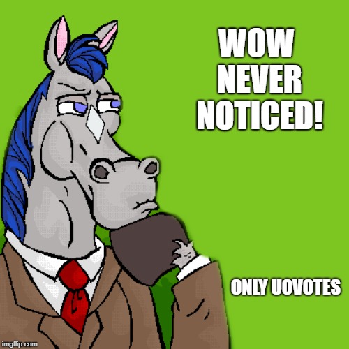 horse | WOW NEVER NOTICED! ONLY UOVOTES | image tagged in horse | made w/ Imgflip meme maker