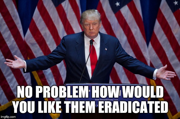 Donald Trump | NO PROBLEM HOW WOULD YOU LIKE THEM ERADICATED | image tagged in donald trump | made w/ Imgflip meme maker