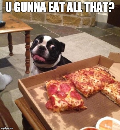 Hungry Pizza Dog | U GUNNA EAT ALL THAT? | image tagged in hungry pizza dog | made w/ Imgflip meme maker