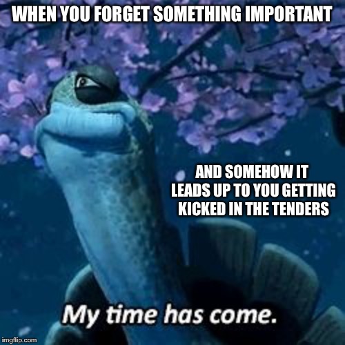 My Time Has Come | WHEN YOU FORGET SOMETHING IMPORTANT; AND SOMEHOW IT LEADS UP TO YOU GETTING KICKED IN THE TENDERS | image tagged in my time has come,oogway,fun,repost | made w/ Imgflip meme maker