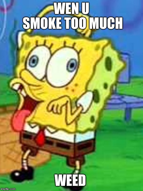 Spongebob Duh | WEN U SMOKE TOO MUCH; WEED | image tagged in spongebob duh | made w/ Imgflip meme maker