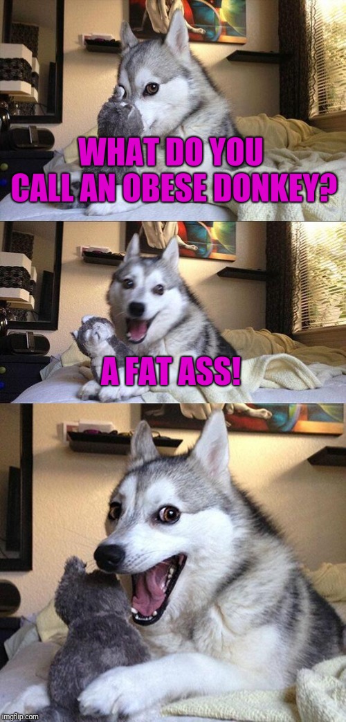 Get It? | WHAT DO YOU CALL AN OBESE DONKEY? A FAT ASS! | image tagged in memes,bad pun dog,funny,donkey | made w/ Imgflip meme maker