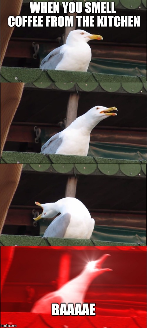 Inhaling Seagull | WHEN YOU SMELL COFFEE FROM THE KITCHEN; BAAAAE | image tagged in memes,inhaling seagull | made w/ Imgflip meme maker