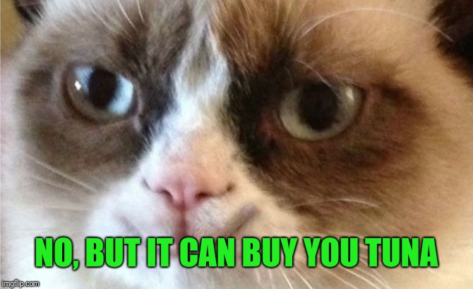 Grumpy Cat happy | NO, BUT IT CAN BUY YOU TUNA | image tagged in grumpy cat happy | made w/ Imgflip meme maker