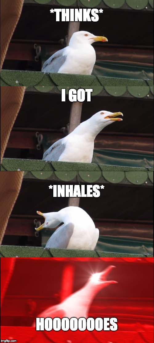 Inhaling Seagull Meme | *THINKS*; I GOT; *INHALES*; HOOOOOOOES | image tagged in memes,inhaling seagull | made w/ Imgflip meme maker